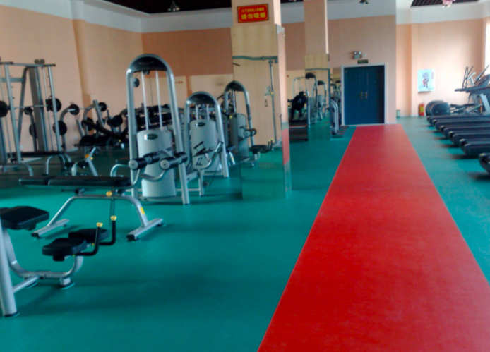 Sheet Vinyl flooring gym flooring 5