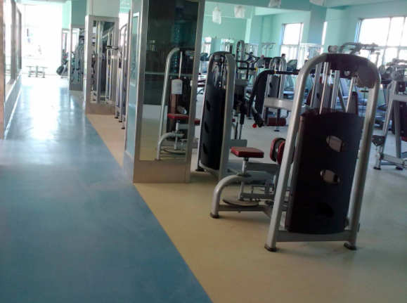 Sheet Vinyl flooring gym flooring 7