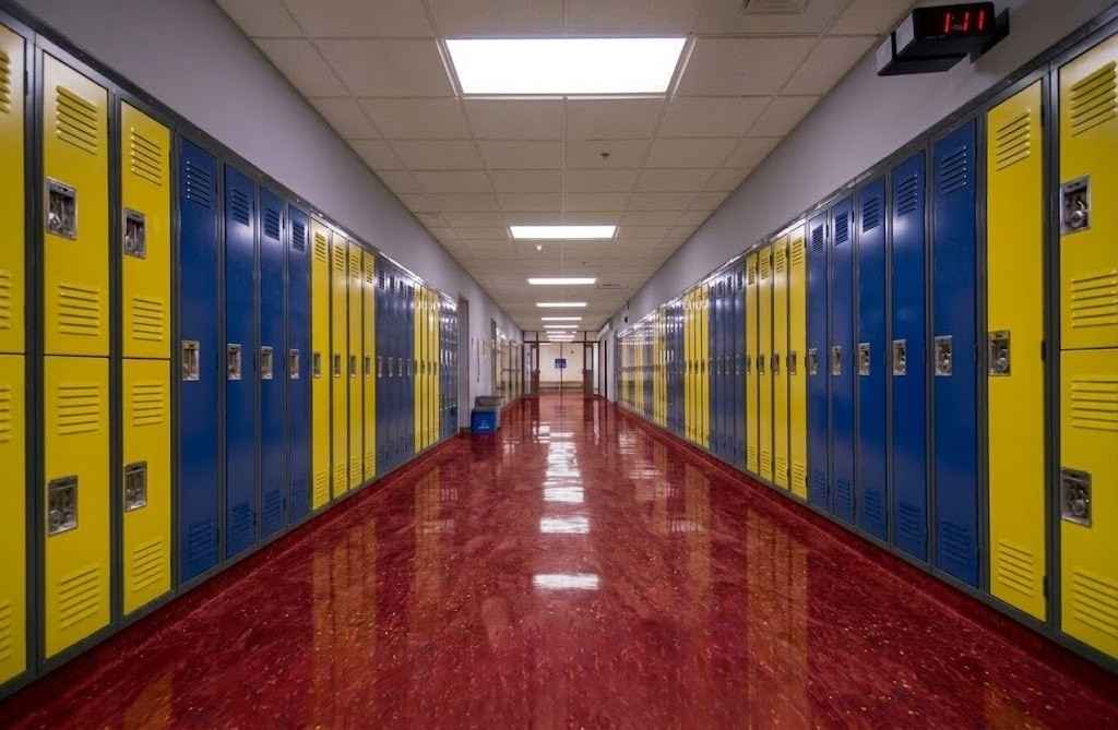 Heterogeneous Vinyl in Universities 1 Pic